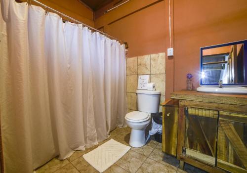 a bathroom with a white toilet and a sink at Canto del Tucán Lodge and Farm in Golfito