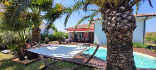 une villa avec une piscine et un palmier dans l'établissement VILLA TESTERINE, à La Teste-de-Buch