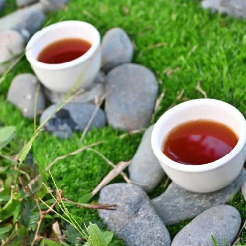two cups of tea sitting on rocks in the grass at Shanti Wellness Sanctuary in Lemery