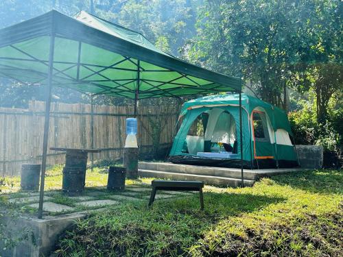 a green tent sitting in the grass in a field at Shanti Wellness Sanctuary in Lemery