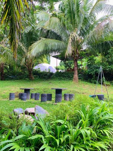 a park with tables and palm trees and plants at Shanti Wellness Sanctuary in Lemery