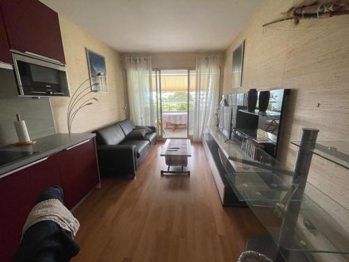 un salon avec un canapé et une table en verre dans l'établissement Marina baie des anges, beach downstairs, charming apartment with sea and garden view, à Villeneuve-Loubet