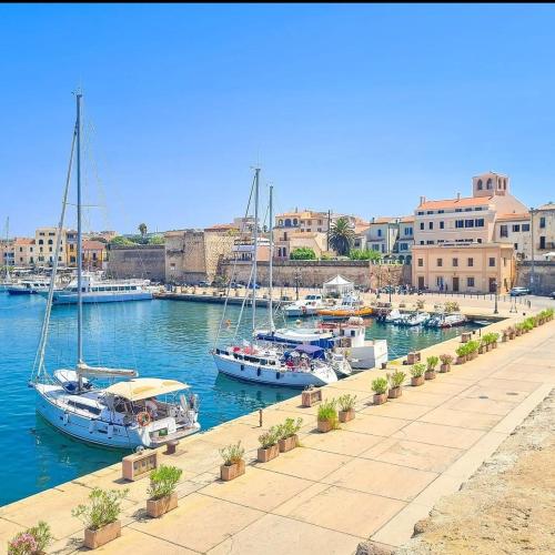 a group of boats are docked in a marina at Istella D&V in Alghero