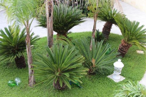 a garden with palm trees and a white vase at Il Giardino della Scuncerta in Lecce
