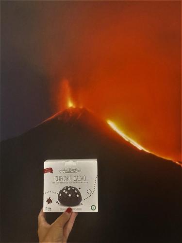a person holding up a box with a smoke covered mountain at Hotel Portum in Giardini Naxos