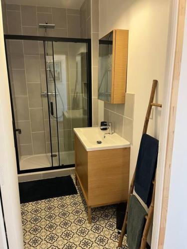 une salle de bain avec un lavabo et une douche dans l'établissement Chez Mimi, la route des fruits, à Jumièges