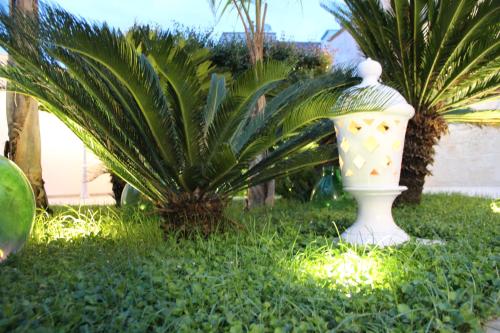 a white vase sitting in the grass next to a palm tree at Il Giardino della Scuncerta in Lecce