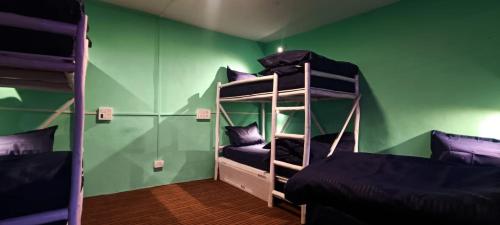 マナリにあるTrippy Shiva Hostelの緑の壁の客室で、二段ベッド3組が備わります。