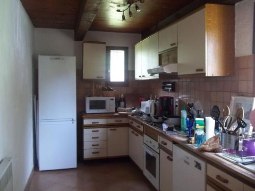QUIET COTTAGE NEAR CITY CENTER