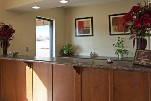 Φωτογραφία από το άλμπουμ του Americas Best Value Inn Byhalia σε Byhalia