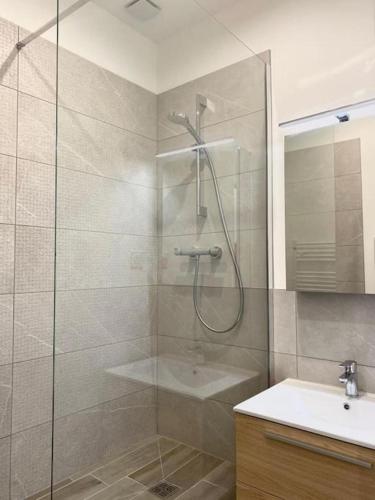 y baño con ducha y lavamanos. en Terracotta, en Saint-Étienne