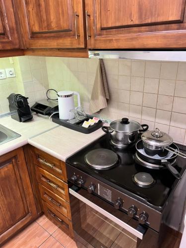 Cuisine ou kitchenette dans l'établissement Philoxenia Oasis Supreme Apartment