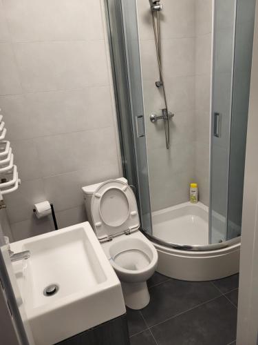 y baño con aseo, lavabo y ducha. en 7 Mila Pokoje Kutno, en Kutno