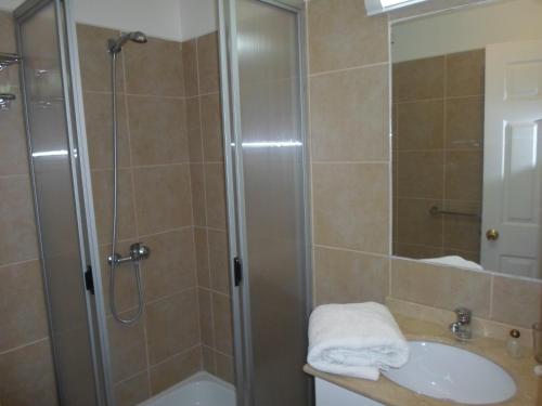 y baño con ducha y lavamanos. en Hotel Del Marques en Vallenar