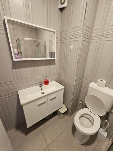 ein Badezimmer mit einem WC, einem Waschbecken und einem Spiegel in der Unterkunft AL Apartments 02 in Prizren