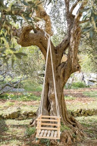 a tree with a swing in the middle of it at Airport Garden Room in Čilipi