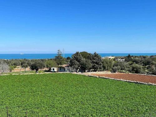 a field of green grass with the ocean in the background at Fusella Country House/Villa a Polignano Vista Mare in Polignano a Mare