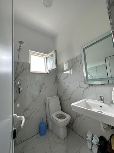 un baño con inodoro y lavabo en Hotel A & V Dodani, en Vau i Dejës