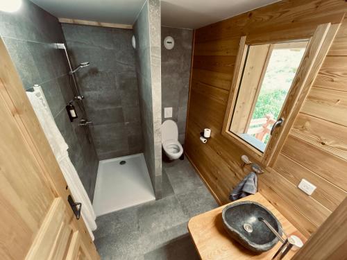 La petite salle de bains est pourvue d'un lavabo et d'une douche. dans l'établissement Gîte Chalet La Vie Sauvage, à Prats-Haut