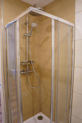 une douche avec pommeau de douche dans une salle de bain dans l'établissement Appart Lumineux 150 m de la Gare, à Bourg-en-Bresse