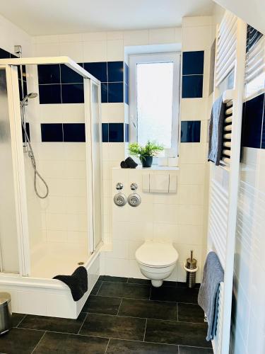 uma casa de banho com um chuveiro e um WC. em BlueLagoon em Schweinfurt