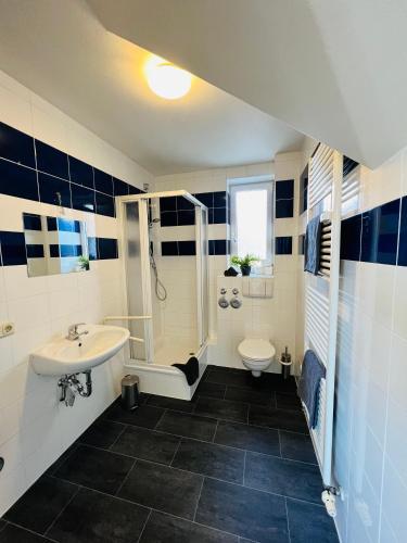 a bathroom with a sink and a shower and a toilet at BlueLagoon in Schweinfurt