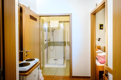 a bathroom with a shower and a sink at Pension U Blinků in Dolní Bečva