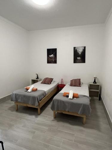 Oriente DNA Studios IV