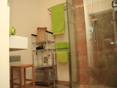 a bathroom with a shower with green towels at Zum Torfstecher in Wilhelmsdorf