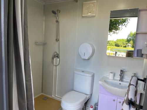 a bathroom with a shower and a toilet and a sink at Het Blauwe Huysch in Putten