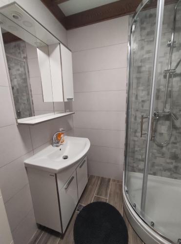 a bathroom with a sink and a shower at Apartmani Lešić Zaklopatica in Lastovo