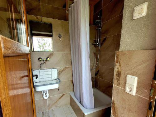 uma casa de banho com um chuveiro, um lavatório e um WC. em PODs Alte Schule em Elchweiler