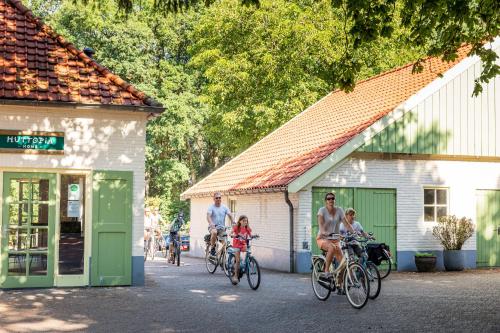 a group of people riding bikes in front of buildings at Chalets De Roos in Beerze