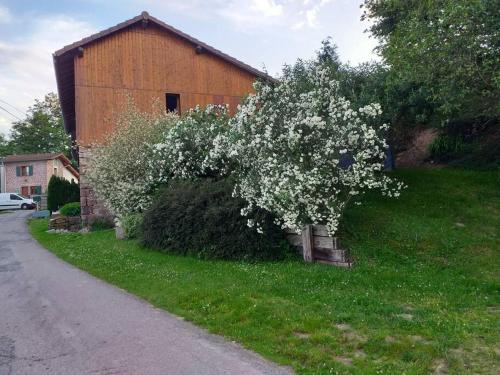 Gallery image of LES GALLINACES in Docelles