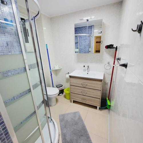 a bathroom with a shower and a sink and a toilet at Pintor 31 in Valencia