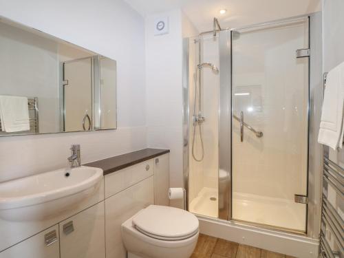 a bathroom with a shower and a toilet and a sink at Badgers Sett in Fareham