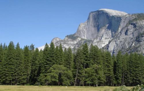 a field with trees and a mountain in the background at Empeiria High Sierra Hotel in Mammoth Lakes