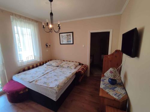 1 dormitorio con 1 cama y TV en Apartments in Siofok/Balaton 19986 en Siófok