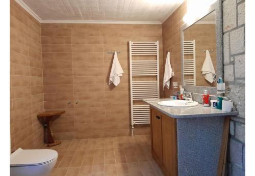 ein Badezimmer mit einem WC, einem Waschbecken und einem Spiegel in der Unterkunft Tsarouxi village 1 in Kardítsa