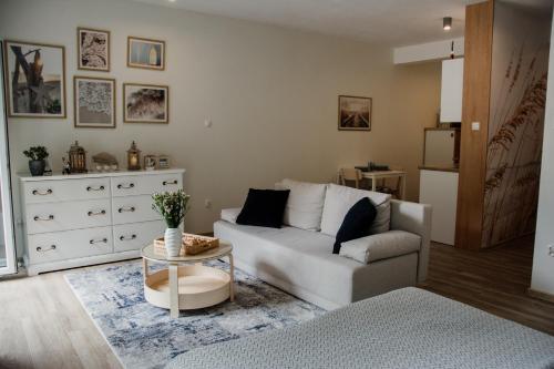 Χώρος καθιστικού στο Stylowe apartamenty