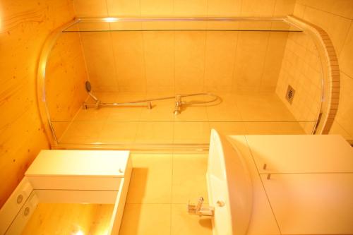 a bathroom with a shower with a toilet and a sink at Apartmani Soline in Goveđari