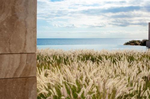 a field of tall grass with the ocean in the background at Casa Maat at JW Marriott Los Cabos Beach Resort & Spa in San José del Cabo