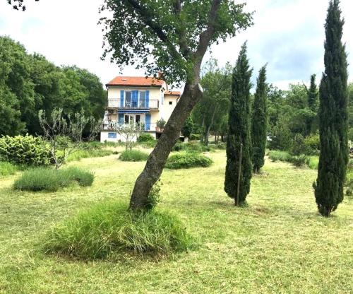 a house in the middle of a field with trees at House Marante Rijeka Krk Crikvenica in Hreljin