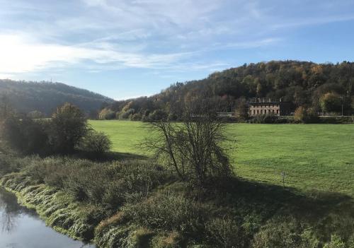 a grassy field with a house in the background at Bahnhof Nebra in Nebra