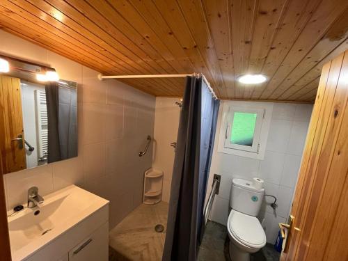 奧洛特的住宿－casa rústica，一间带卫生间、水槽和镜子的浴室