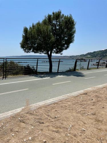 a tree on the side of a road near the water at Casa Bucciarelle in Casoli