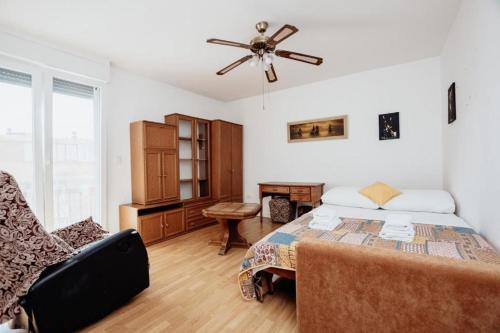 Big apartment near center