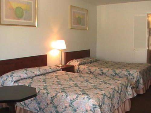 a hotel room with two beds and a lamp at Hometown Inn Galion in Galion