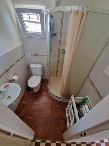 a bathroom with a shower and a toilet and a sink at Liškov 