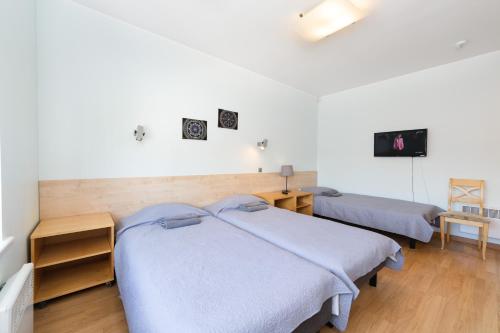 奧泰佩的住宿－VäeVilla，一间带两张床和电视的卧室